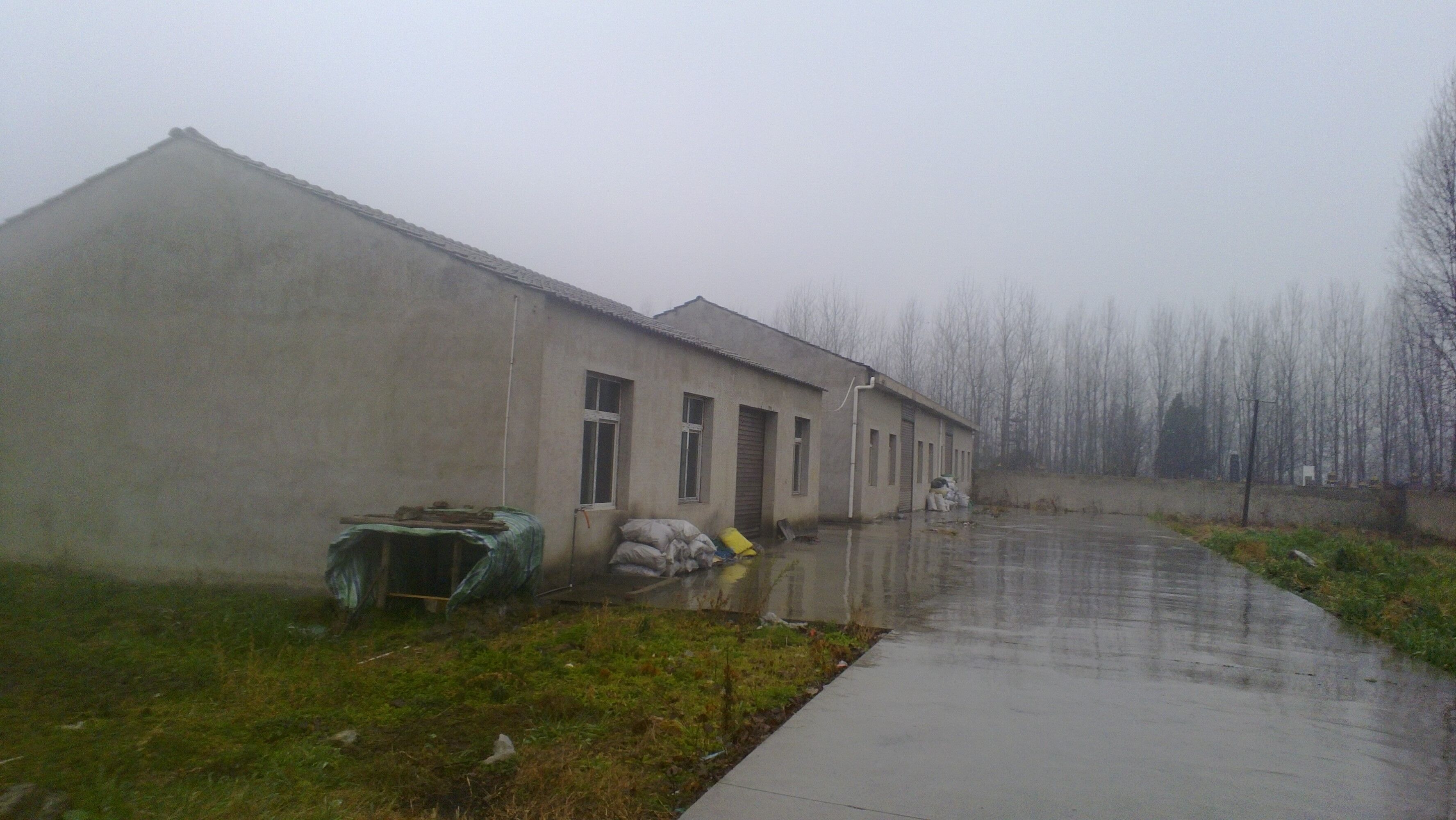 王市口幸福路塑料加工厂低价出售！入驻即可生产！先到先得！