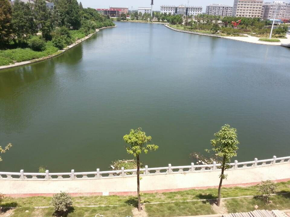 婚房,精装,带家电,拎包即住，非诚勿扰