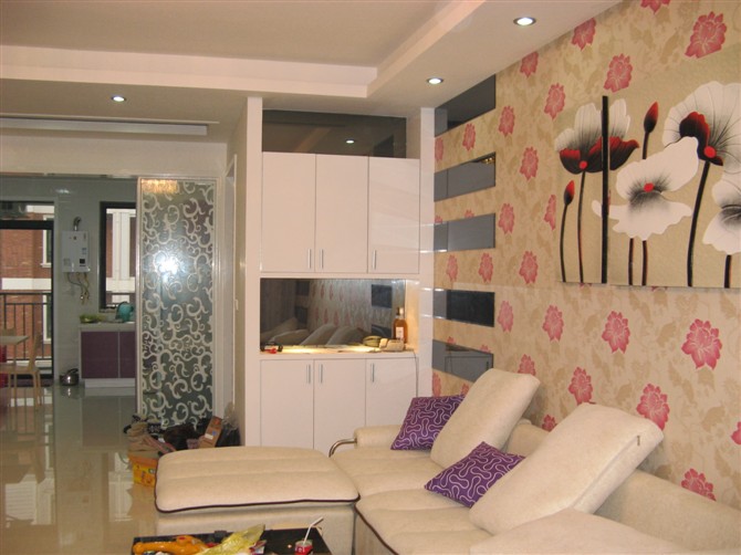 德政金园爱丽舍十号楼精致装修