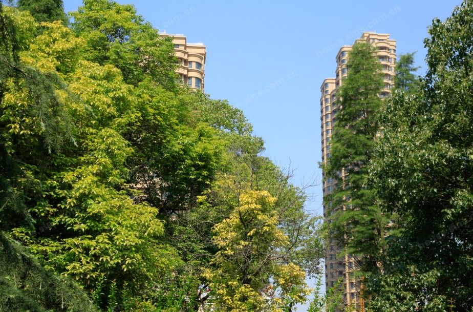 公园世家一期三室两厅134平出售