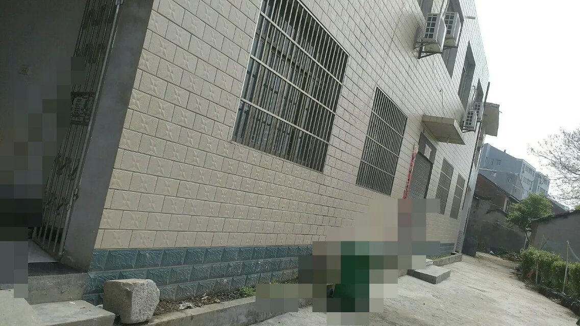 600平-800平米厂房出租(彭场镇胜利河街)