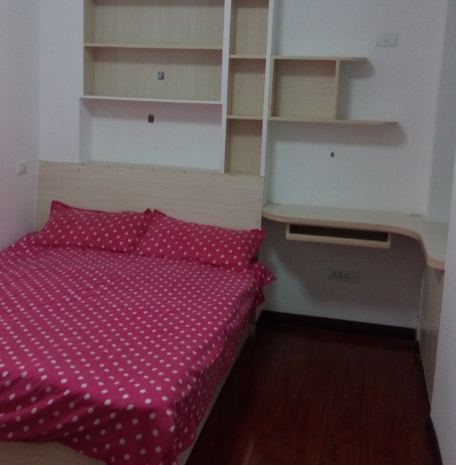 漫城林语精装房出租