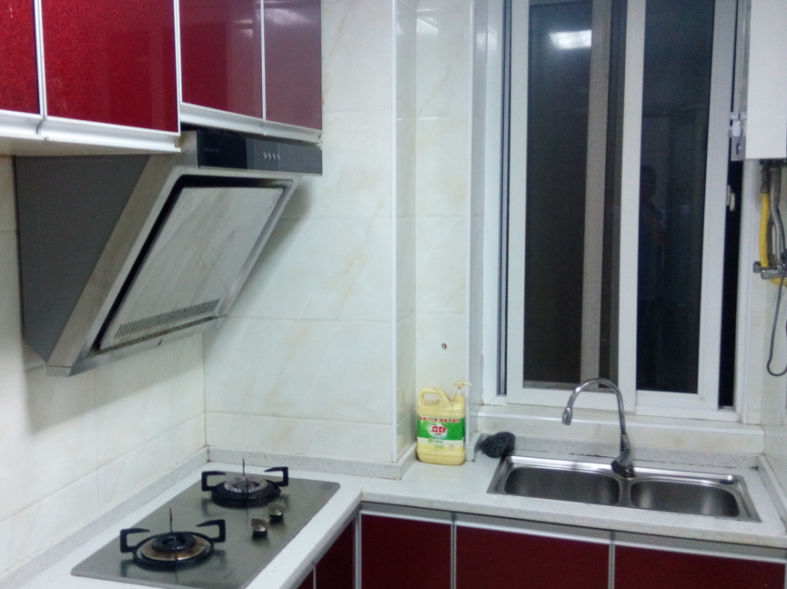 漫城林语精装房出租