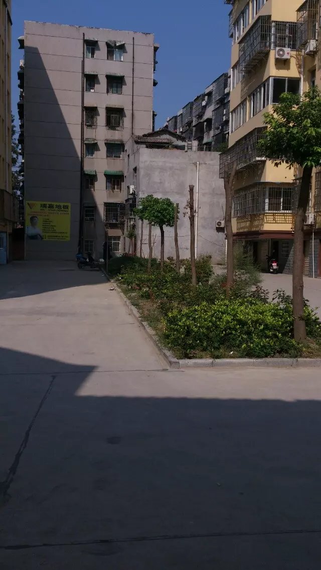 交通菜市场，仙源 ，伟才国际幼儿园附近厅室新房出租