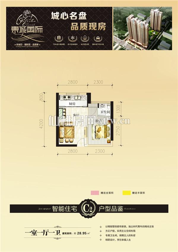 东城国际C2户型