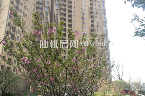 小区效果图