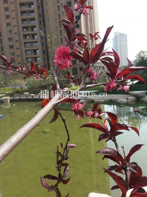 小区实景图
