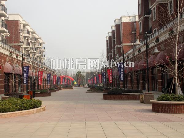 现代森林国际城商铺实景图