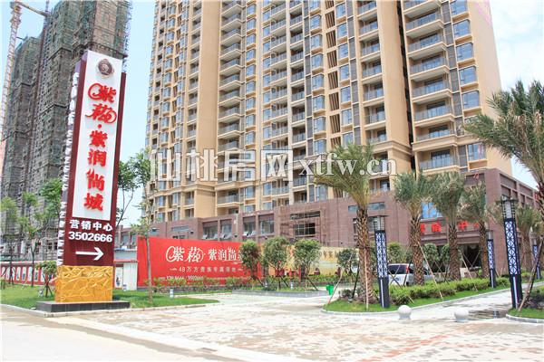 紫菘·紫润尚城实景图