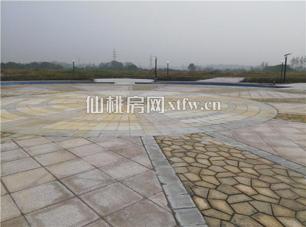 实景图