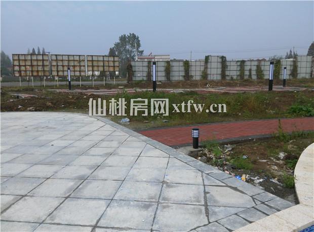 实景图