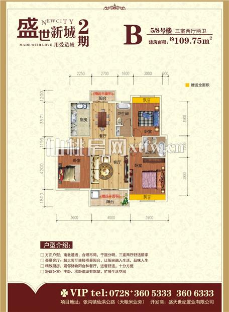 盛世新城2期B户型