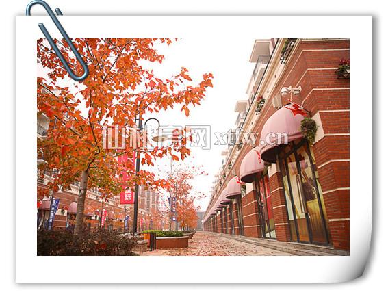 现代森林国际城商铺枫叶红了