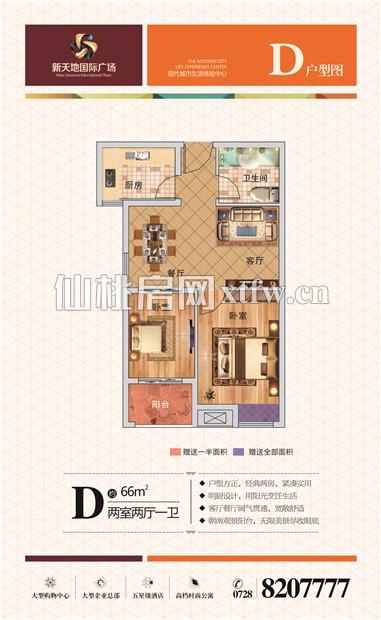新天地国际广场D户型