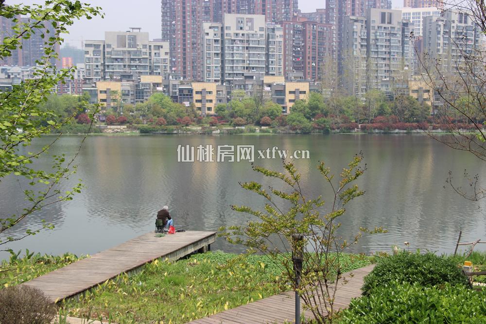 小区实景一角