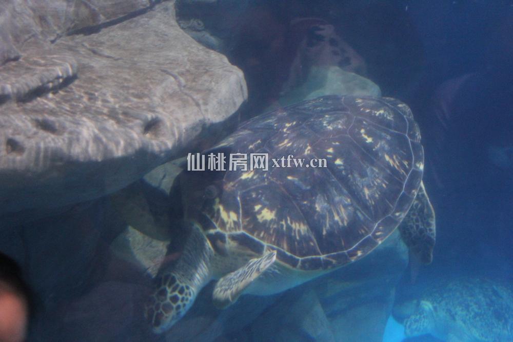 第二期活动