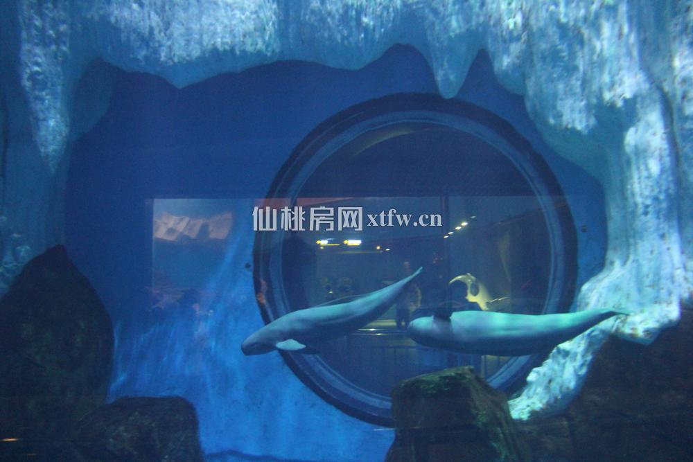 第二期活动