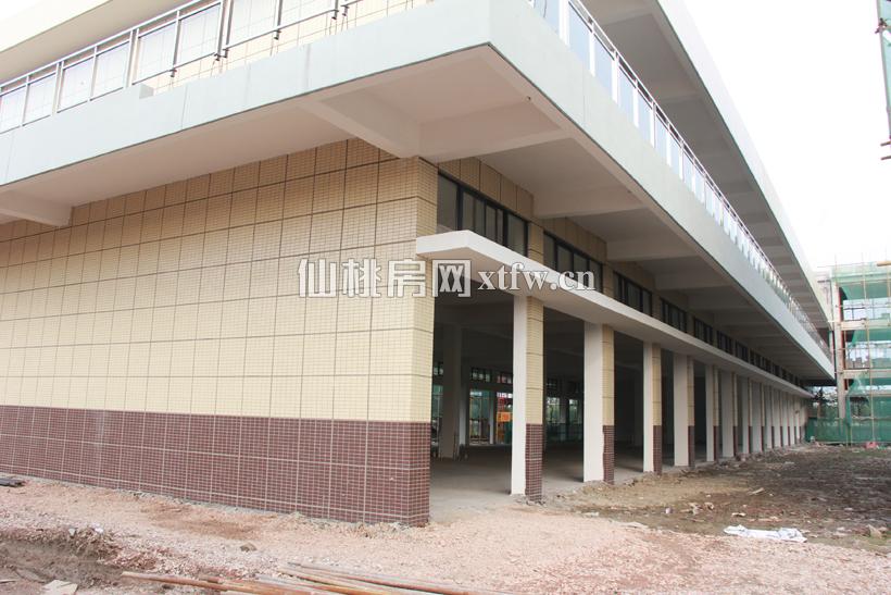 工程进度