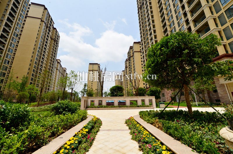 新城壹号一组团实景图