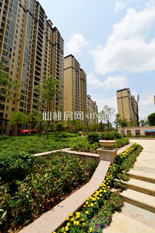 东门景观02