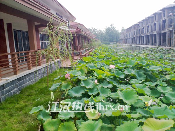 西郊庄园别墅实景图