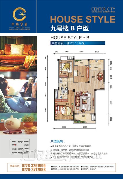 中央华府9号楼B户型