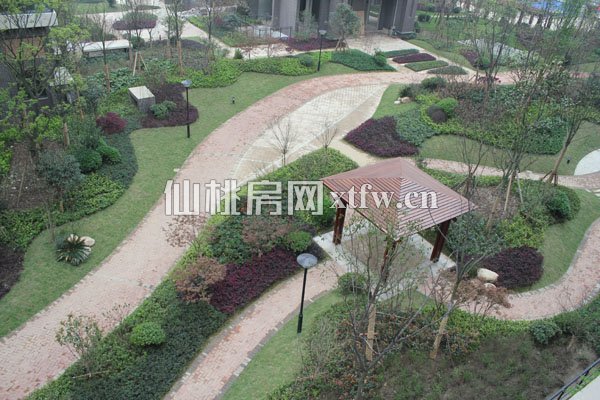 和合·国际城实景图