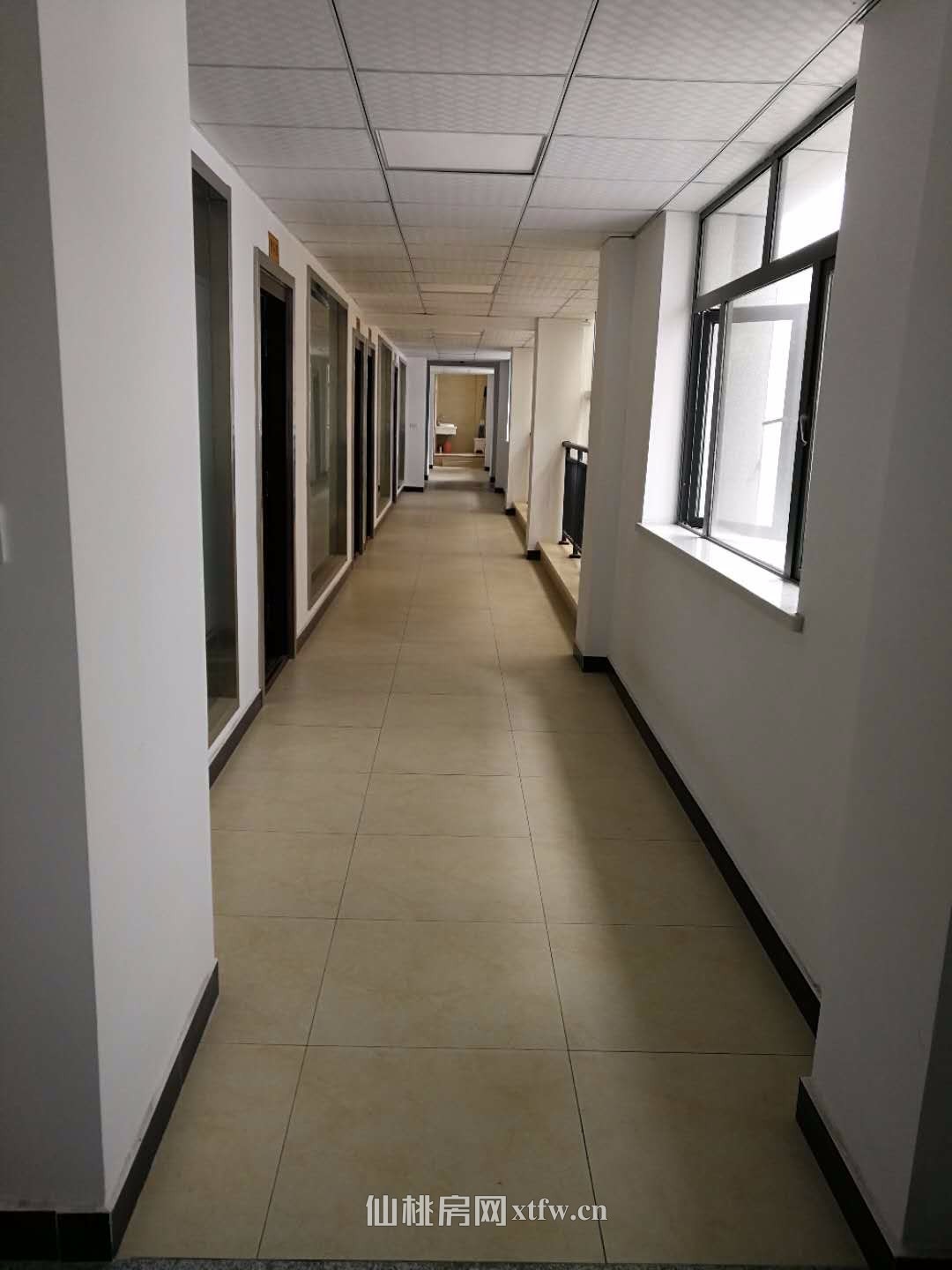 新生街 、四中附近电梯办公楼2-3层整体出售