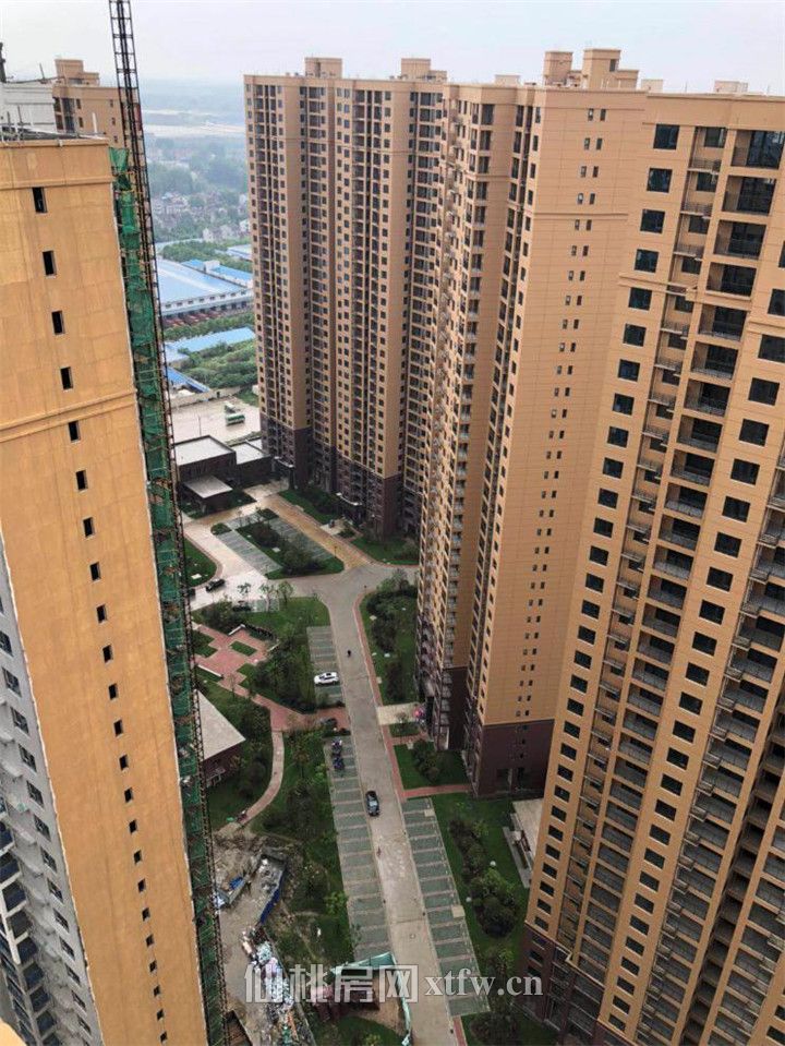 满庭春本周工程进度| 阳光六月 家境可期