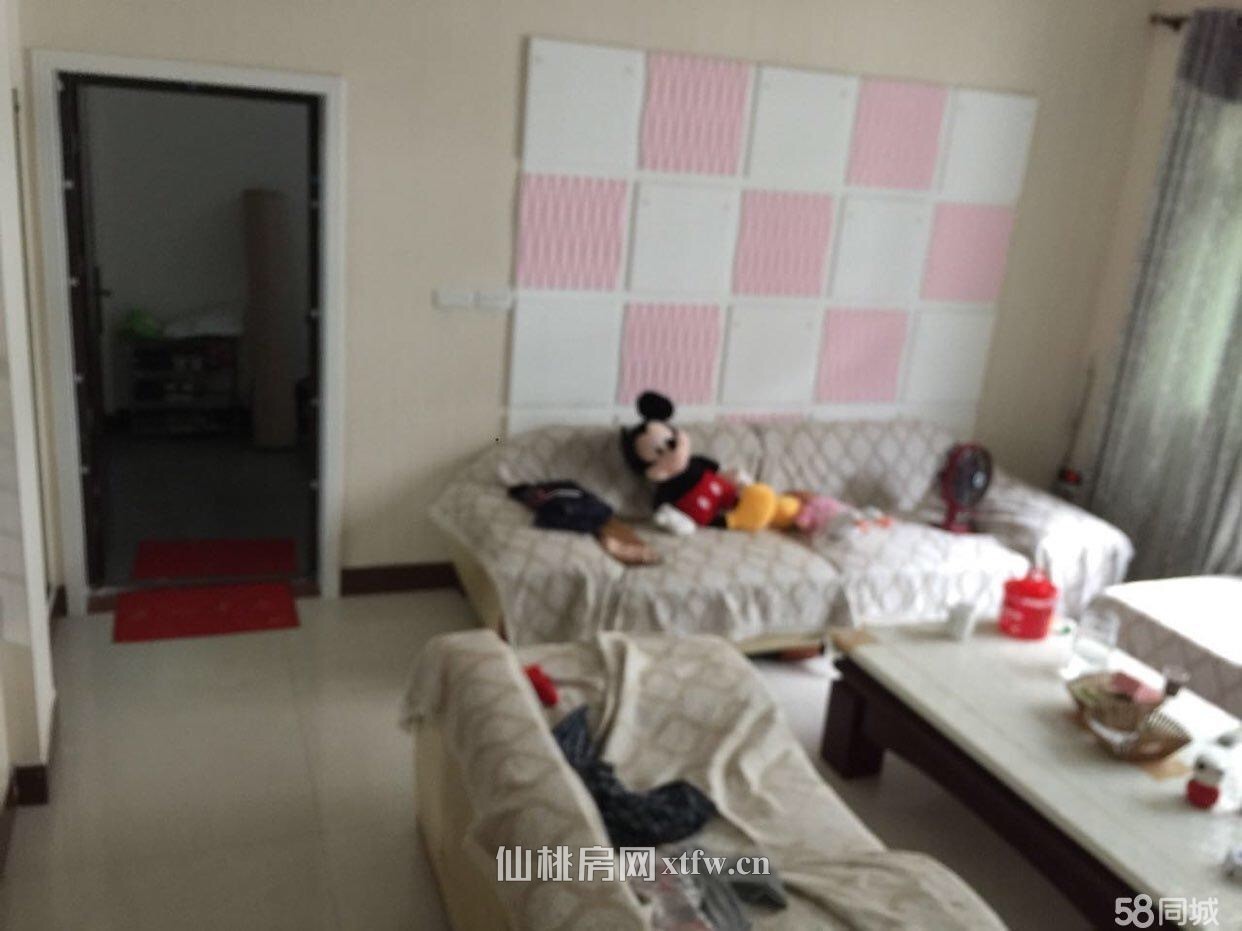 沃尔玛、中百仓储后五层自建房（精装）