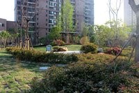 仙桃一中对面漫成林语精装修70平方 房