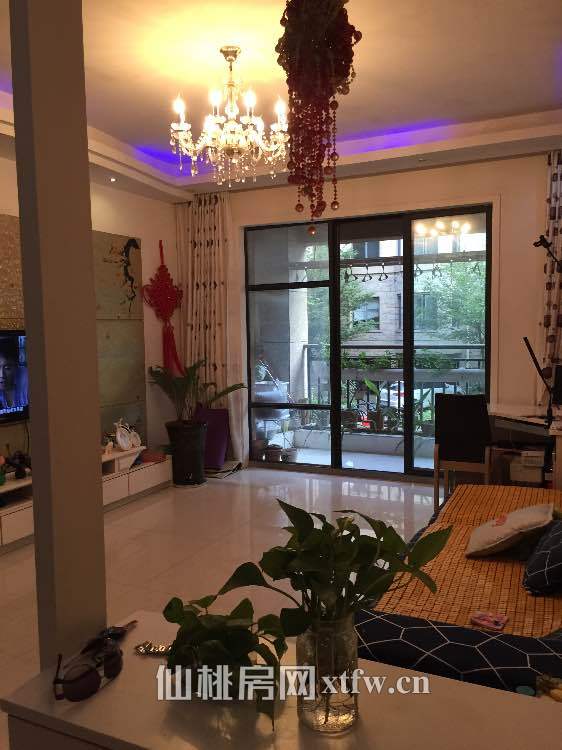 绿地华庭精装房出租