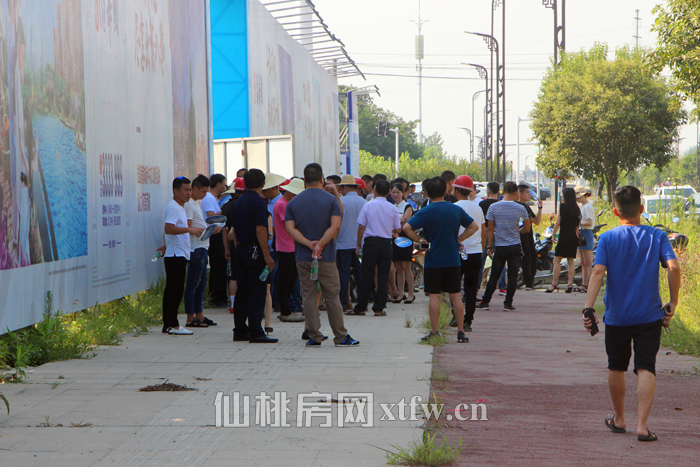 重磅消息！南城新区楼盘 工程有突破性进展