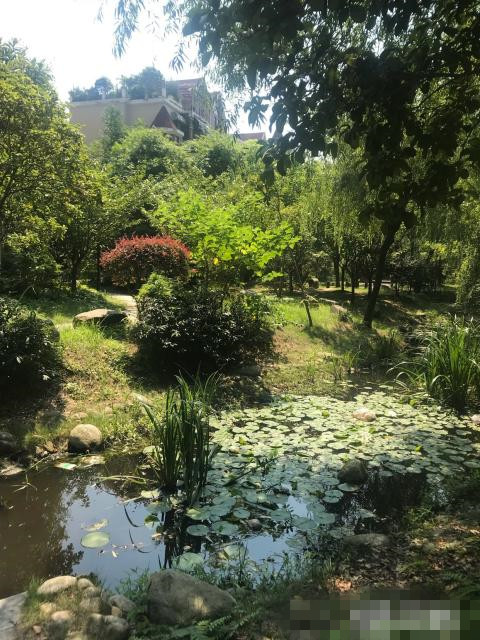 香岸华府精装复式楼，环境好，拎包入住！