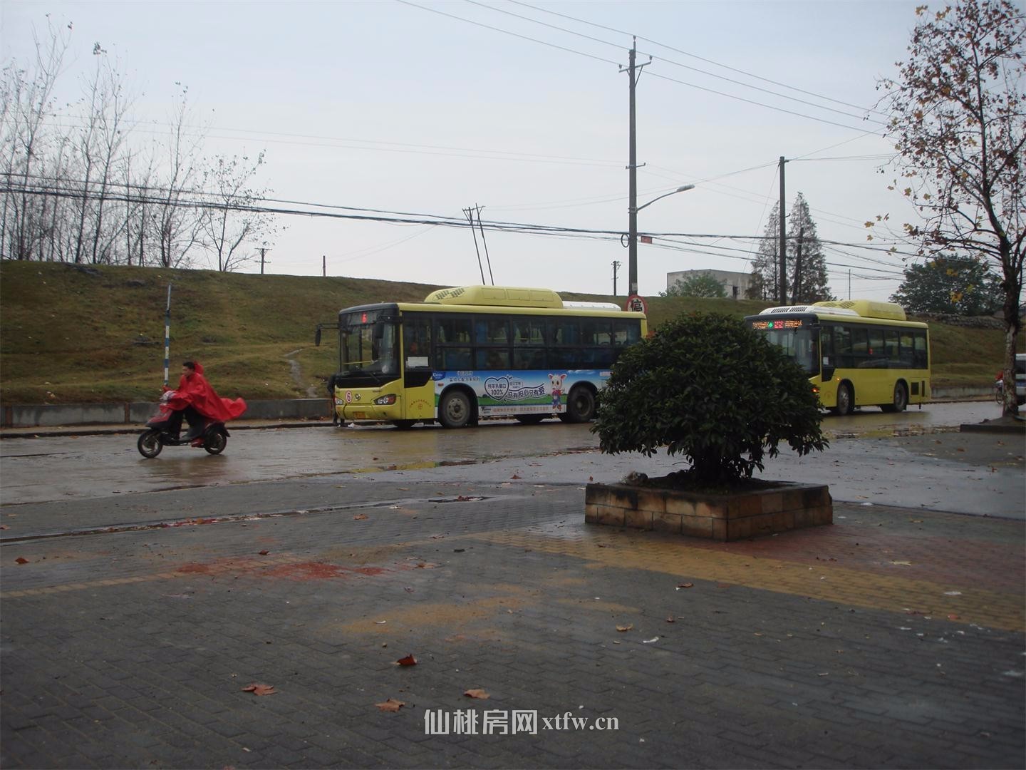 仙桃江景房水岸人家