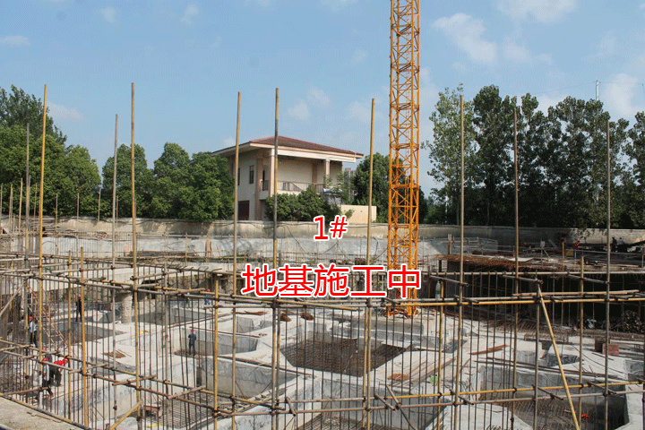 都市高尔夫行情播报：8月28日正式开盘！