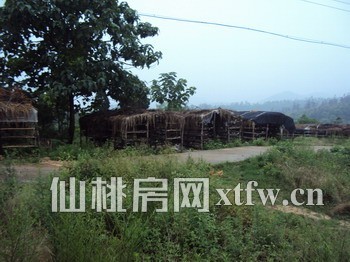 大新路小学西大门附近优质学区房出租