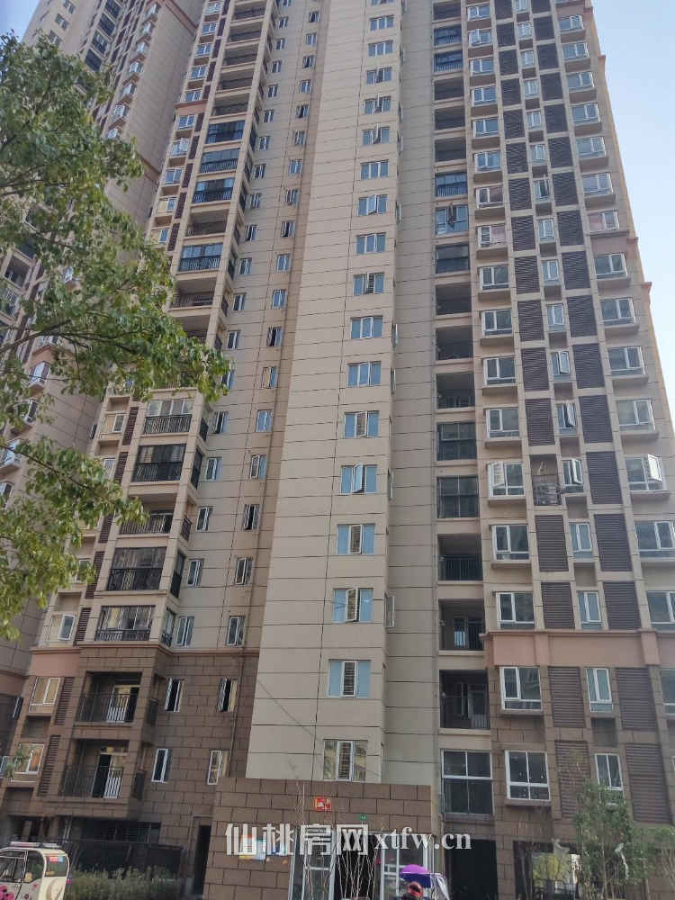 杜柳还建房小区