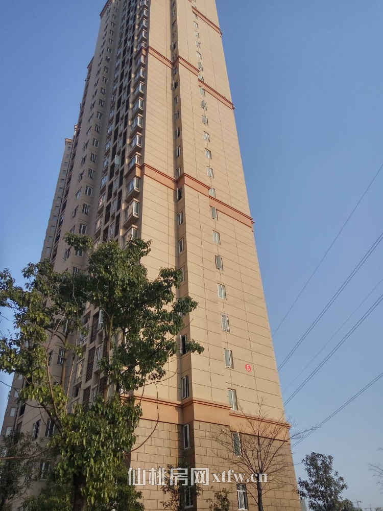 杜柳还建房小区