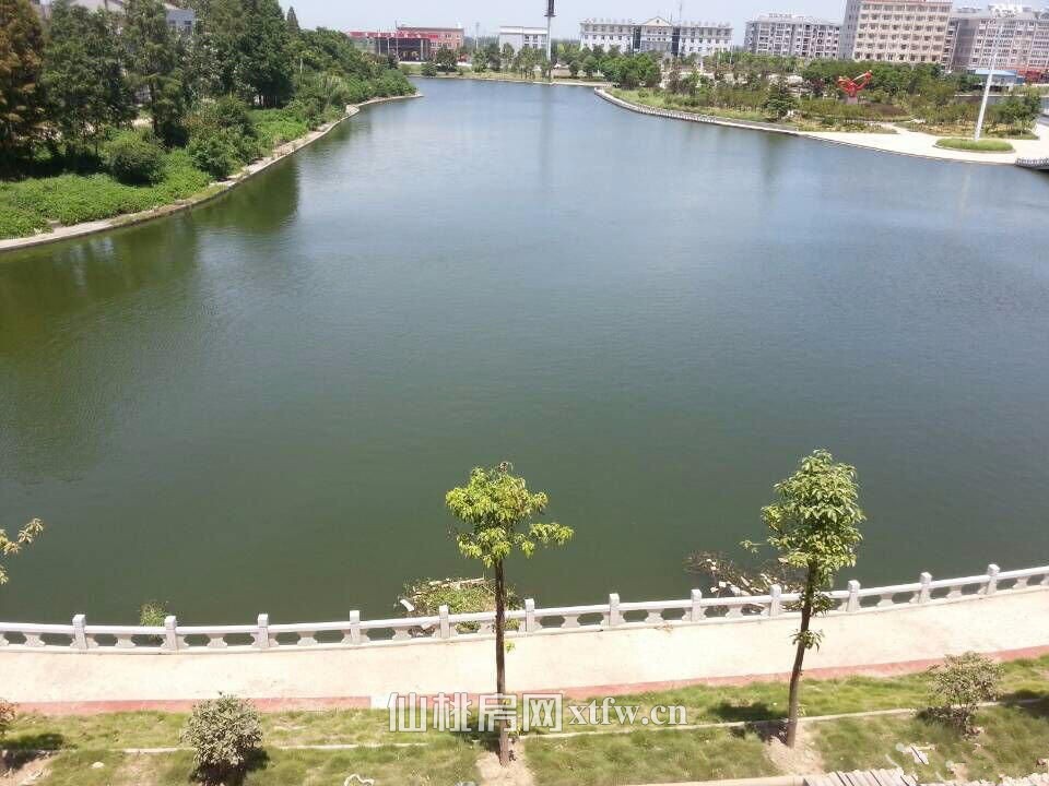 彭场格兰御景园毛坯好房