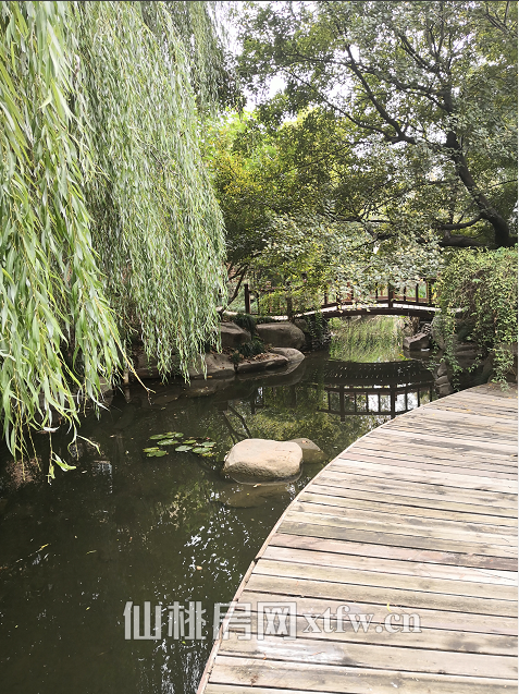 绿地华庭 联排别墅