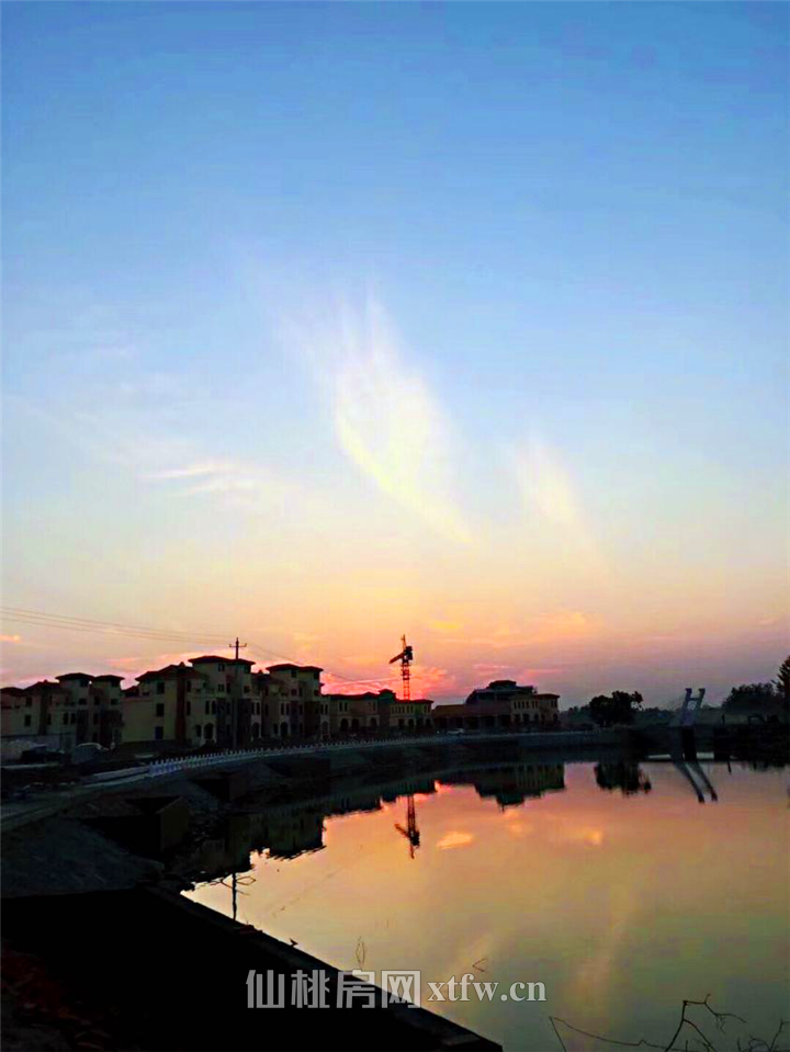 灯火可亲|太子湖国际社区工程进度抢鲜看