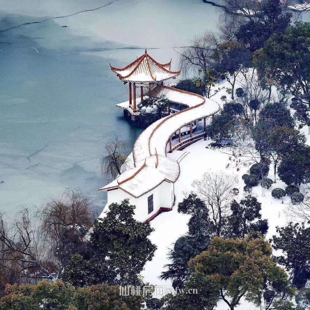 仙桃四中 对面杜家鸡巷内 私房整租