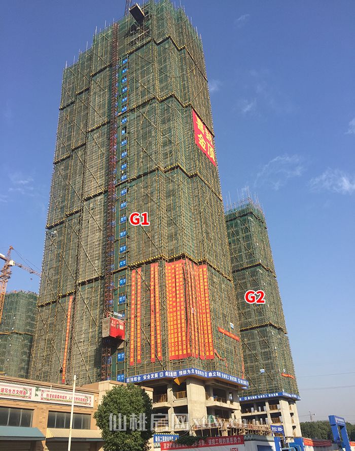 2018110117292438225ii4oef.jpg 1.jpg