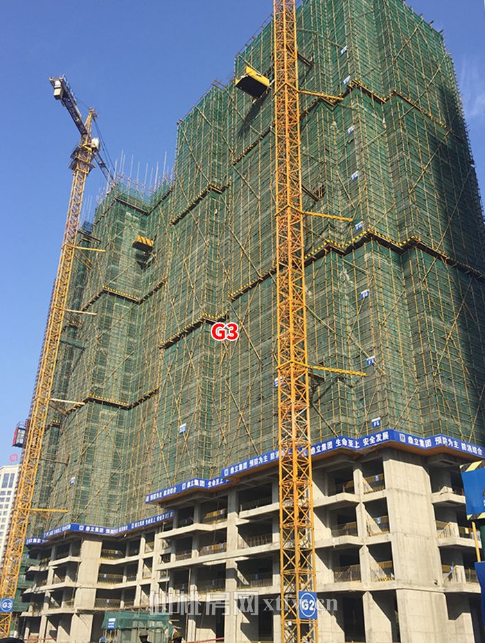 2018110117293056001jenex3.jpg 2.jpg