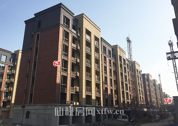 2018110117294253640p3jhtp.jpg 4.jpg