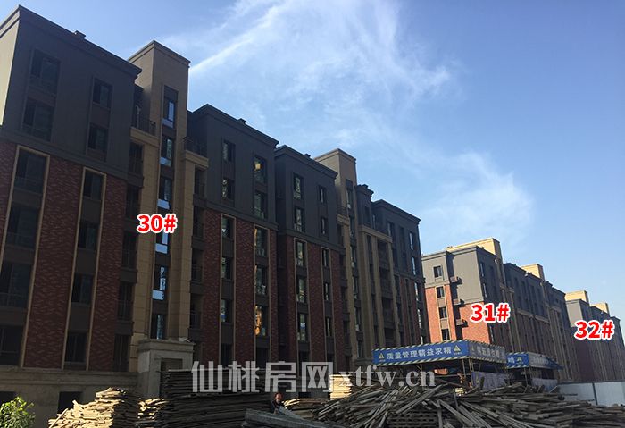 2018110117295193304rfm7pi.jpg 6.jpg