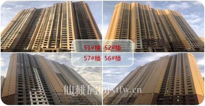 640 (1).webp (3).jpg