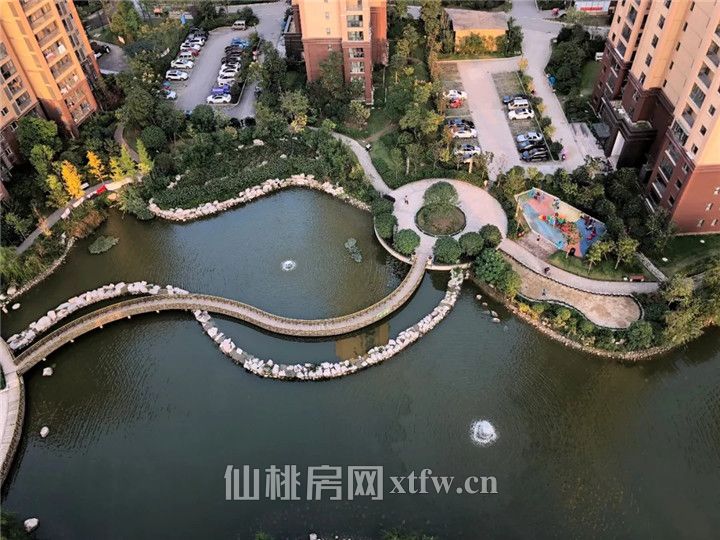 640 (1).webp (4).jpg