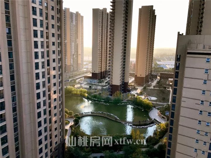 640 (1).webp (5).jpg